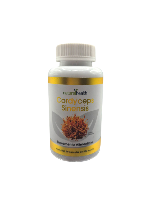 Cordyceps 60 cápsulas